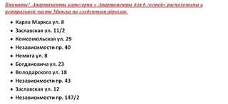 Апартаменты Minsk City Center Apartments 2 Минск Апартаменты-4